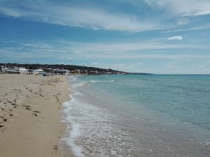 IMG_20171008_113016
